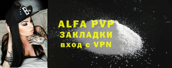 стаф Алзамай