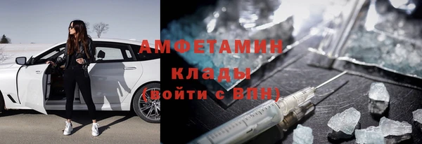 стаф Алзамай