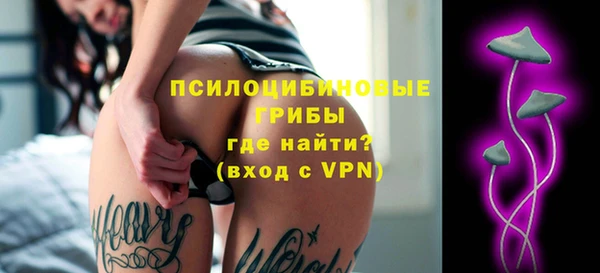 стаф Алзамай