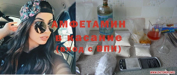 стаф Алзамай